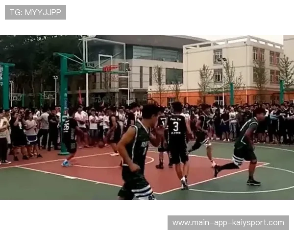 篮球运动在中国中小学综合素质档案中的呈现路径,中小学篮球发展与现状 篮球运动在中国中小学综合素质档案中的呈现路径,中小学篮球发展与现状