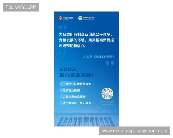 职业联赛的赞助商权益回报分析报告编写